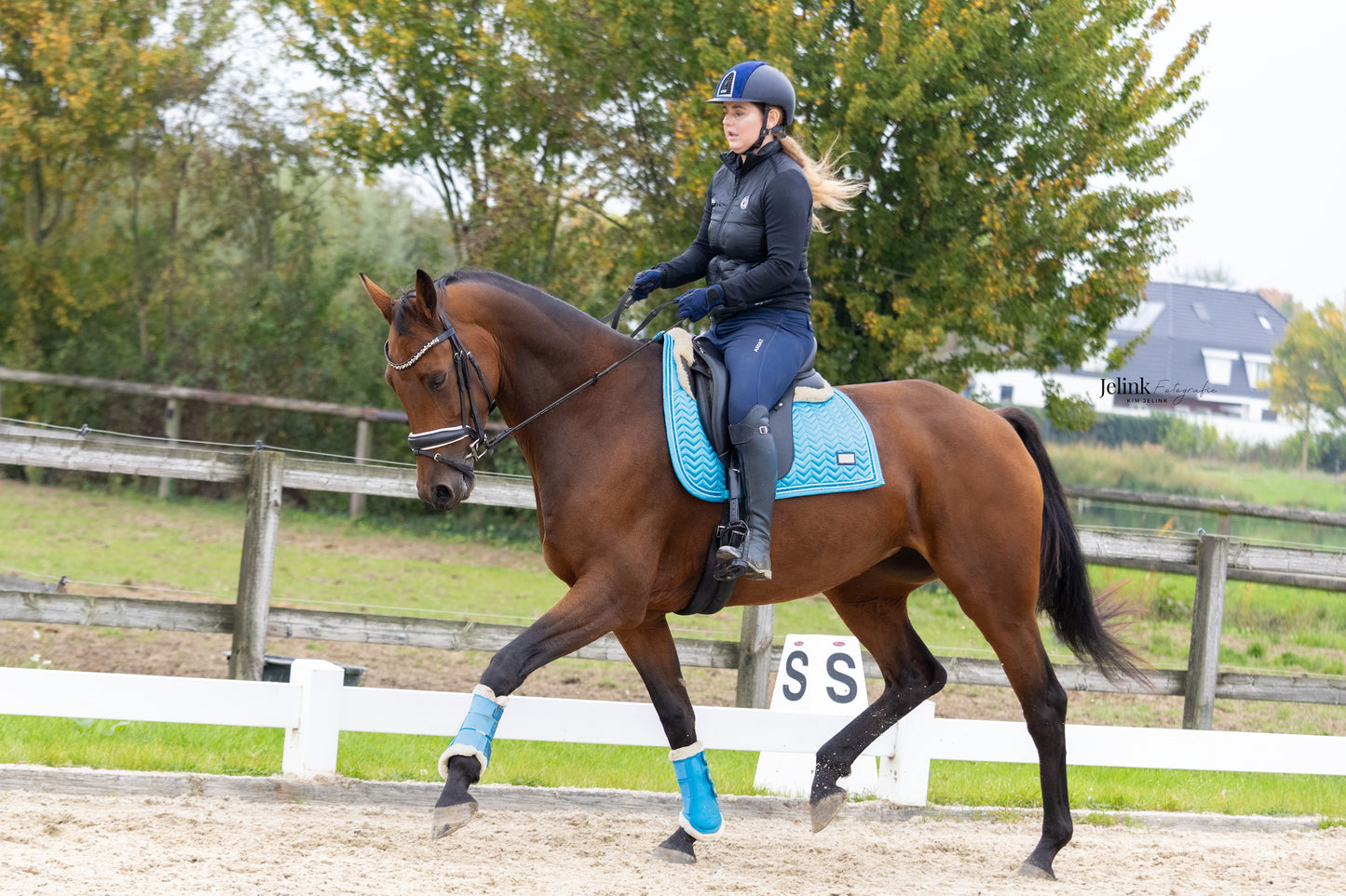 Aqua Dressuur Full