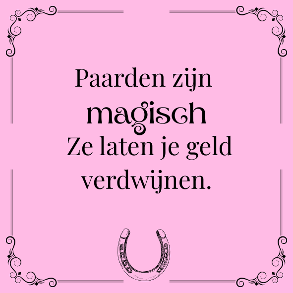 ''Paarden zijn magisch..''
