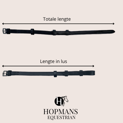 Bakstukken zwart, Zilvere gesp