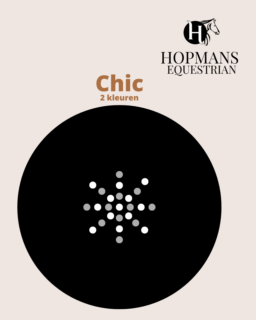 Haarnetje Chic