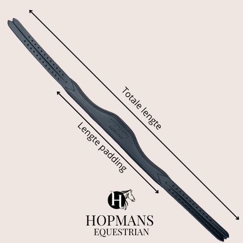 Kopstuk Anatomisch Zwart