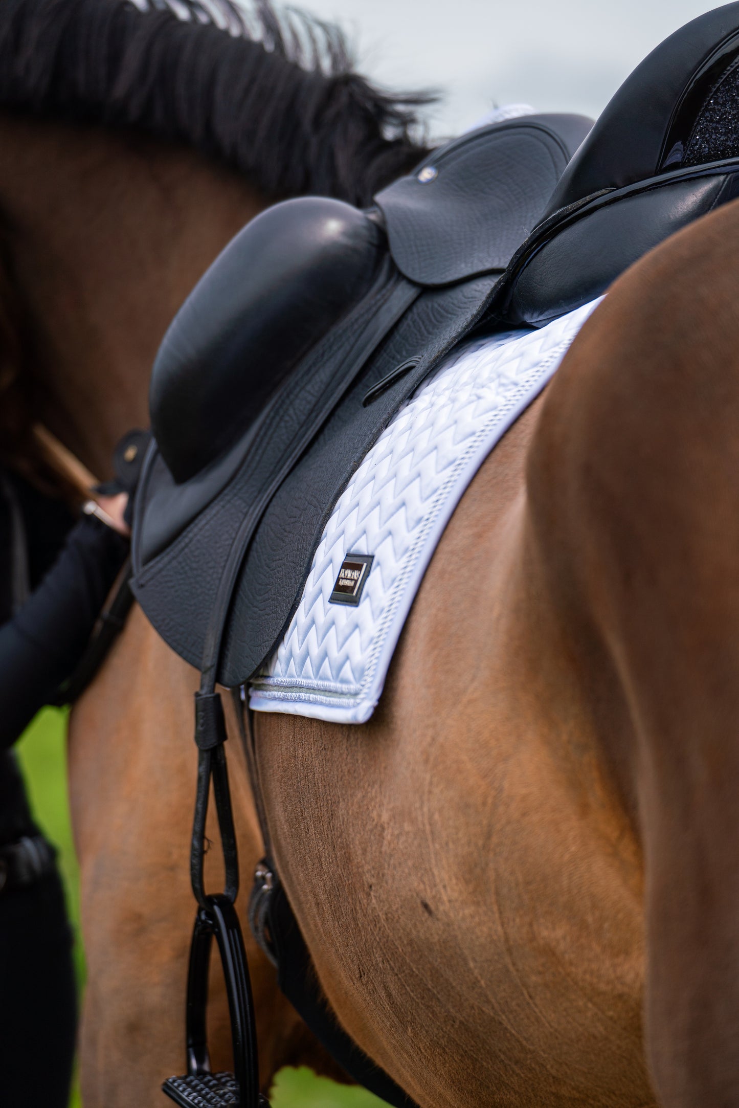 Wit Dressuur Full Zilver glitter