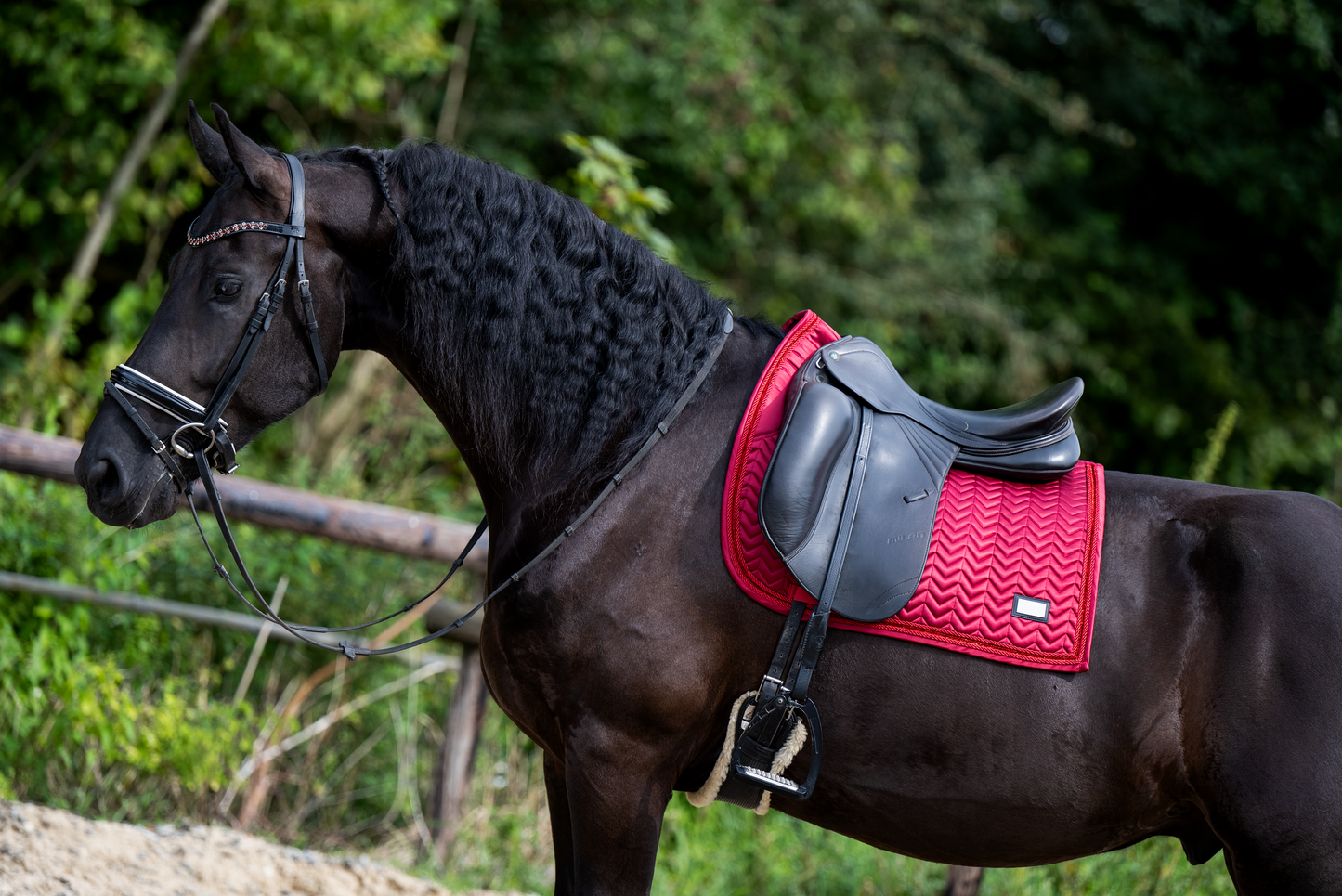 Bordeaux Dressuur Full