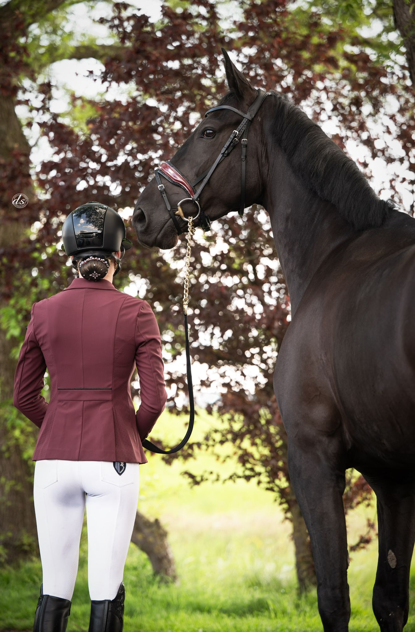 Hoofdstel Zwart small Rocktrim, Burgundy lak