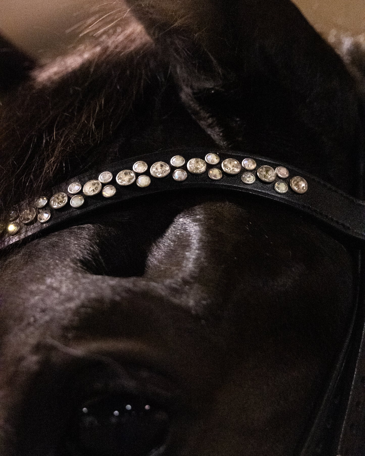 Frontriem model Silver