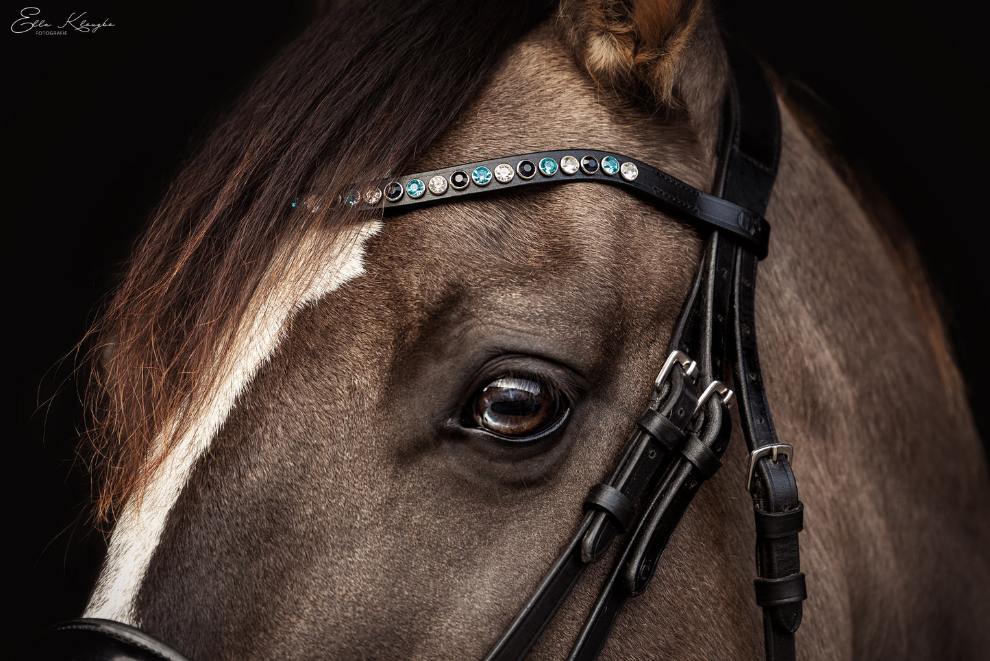 Frontriem model Bronze