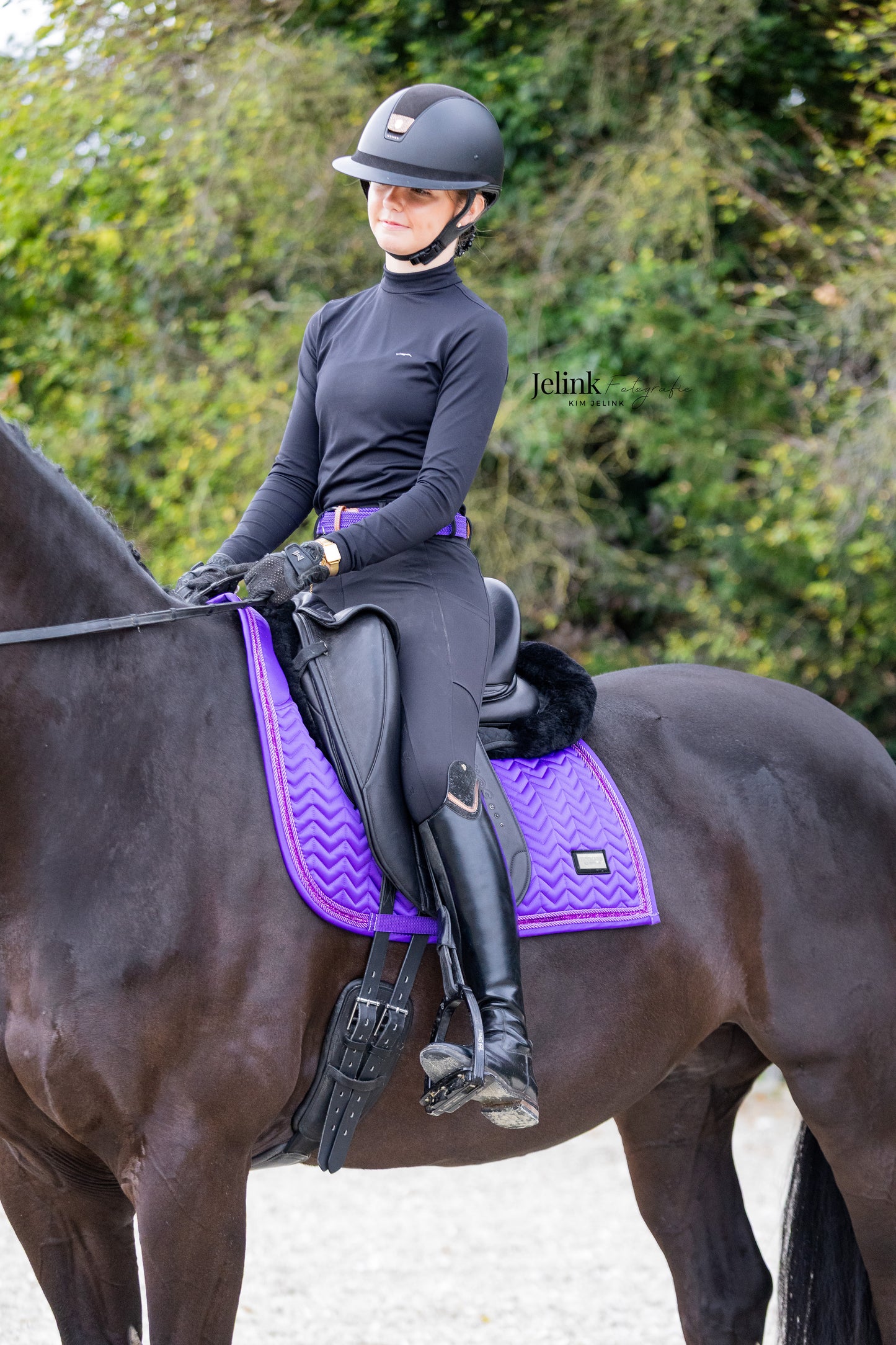 Paars Dressuur Full
