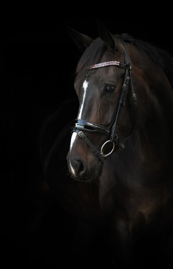 Frontriem model Gold