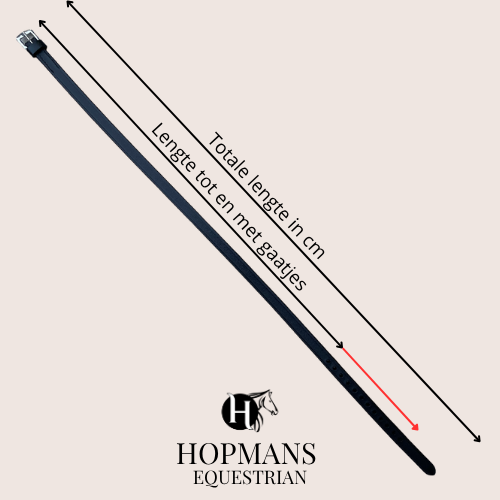 Sperriem zwart, Goude gesp