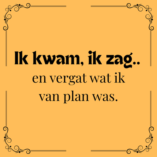 ''Ik kwam, ik zag..''