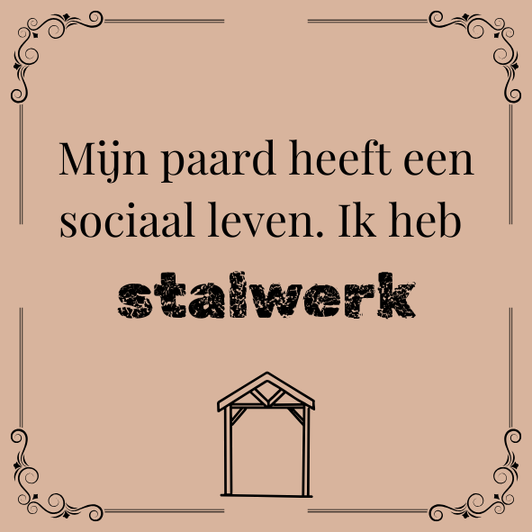 ''Mijn paard heeft een sociaal leven..''