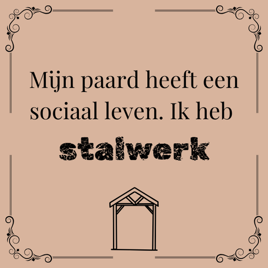 ''Mijn paard heeft een sociaal leven..''