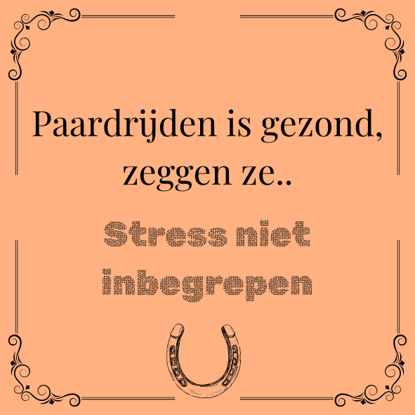 ''Paardrijden is gezond..''