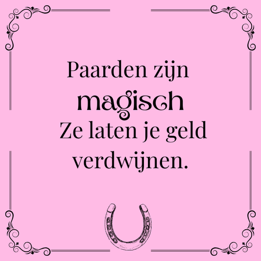 ''Paarden zijn magisch..''