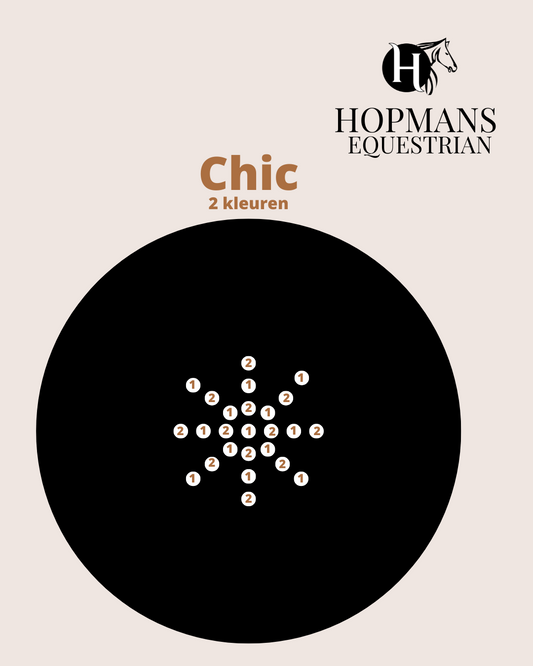 Haarnetje Chic
