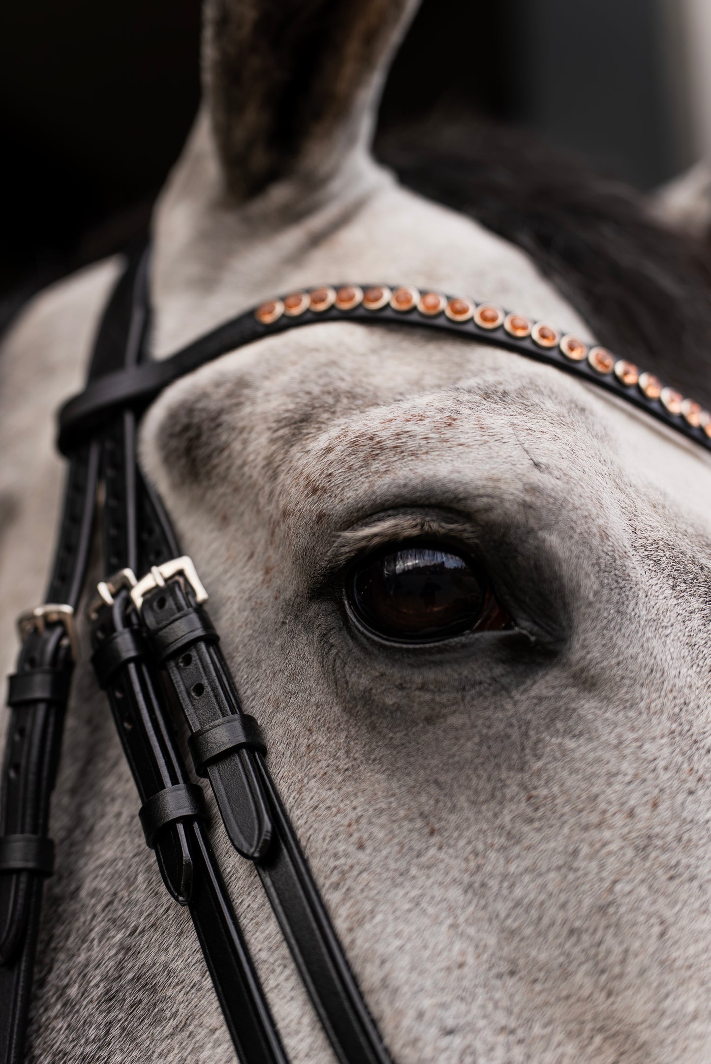 Hoofdstel Rosegoud Rocktrim Mat