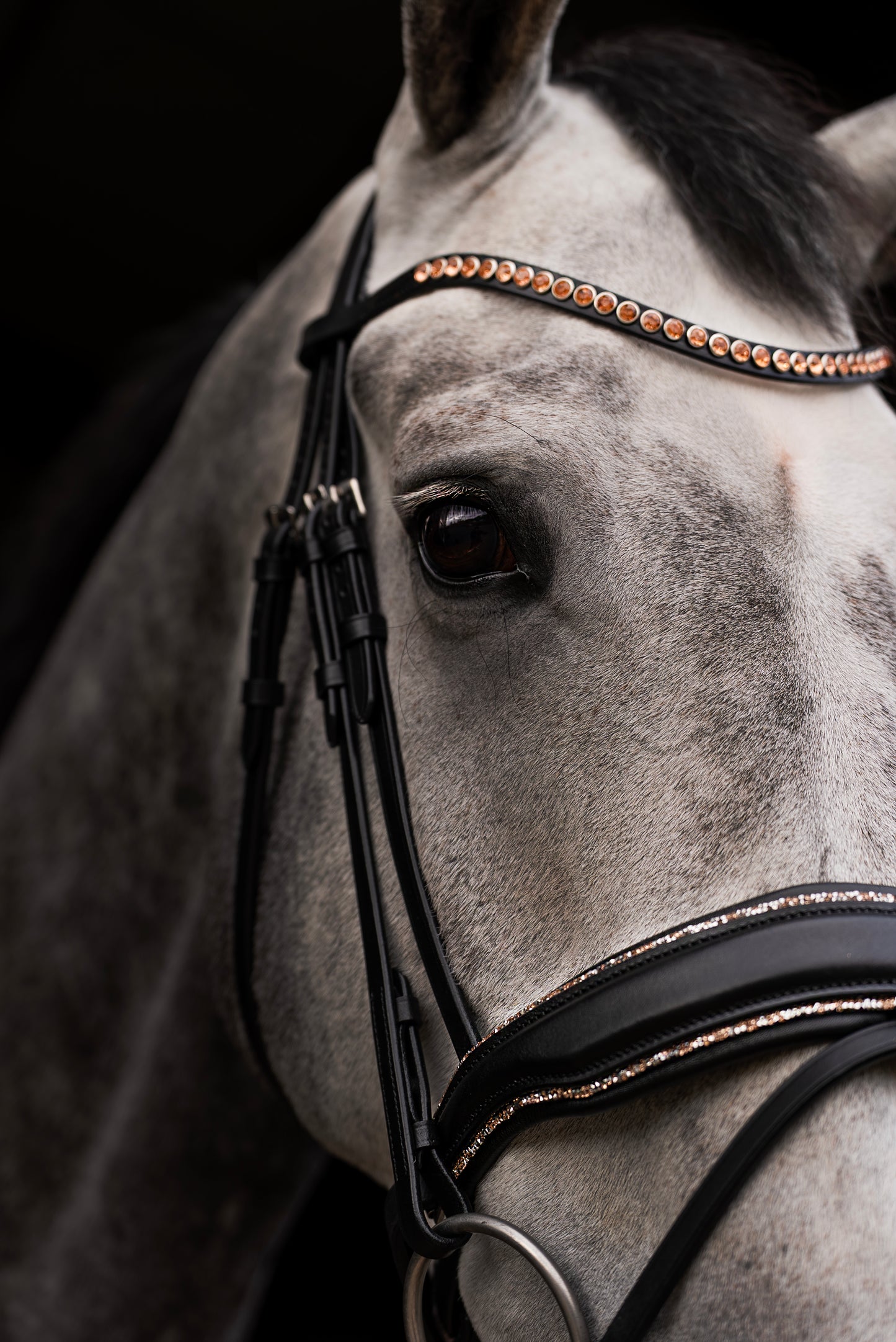 Hoofdstel Rosegoud Rocktrim Mat