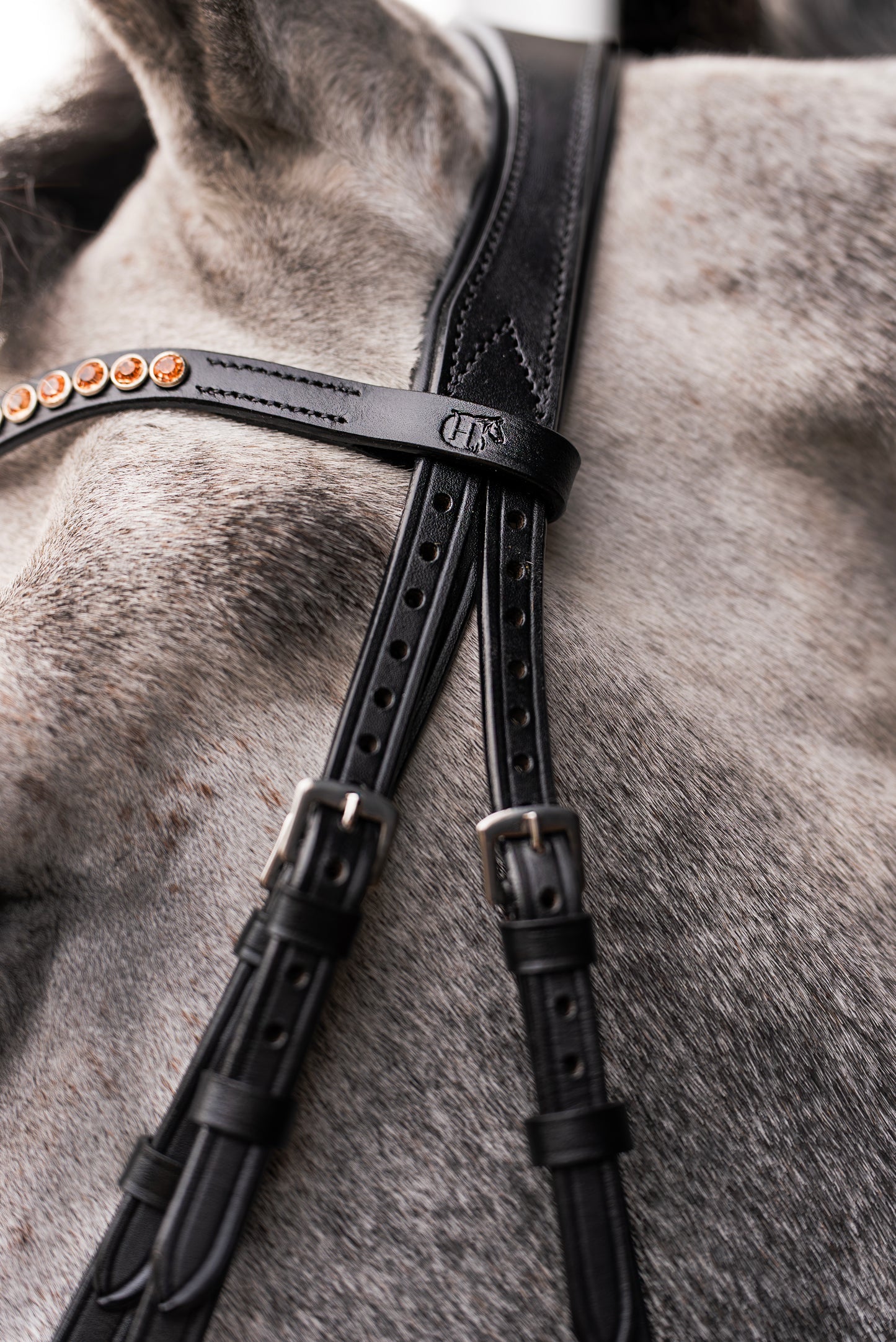 Hoofdstel Rosegoud Rocktrim Mat