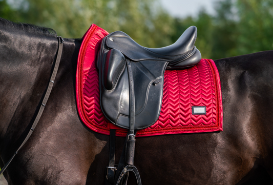 Bordeaux Dressuur Full