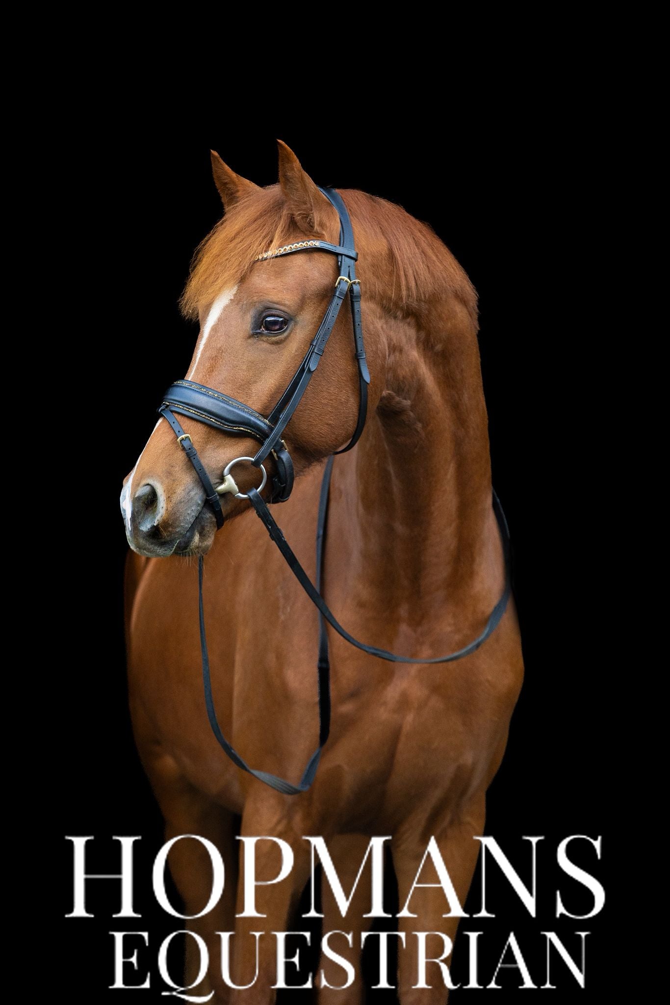 Hoofdstel Goude rocktrim maat XFull