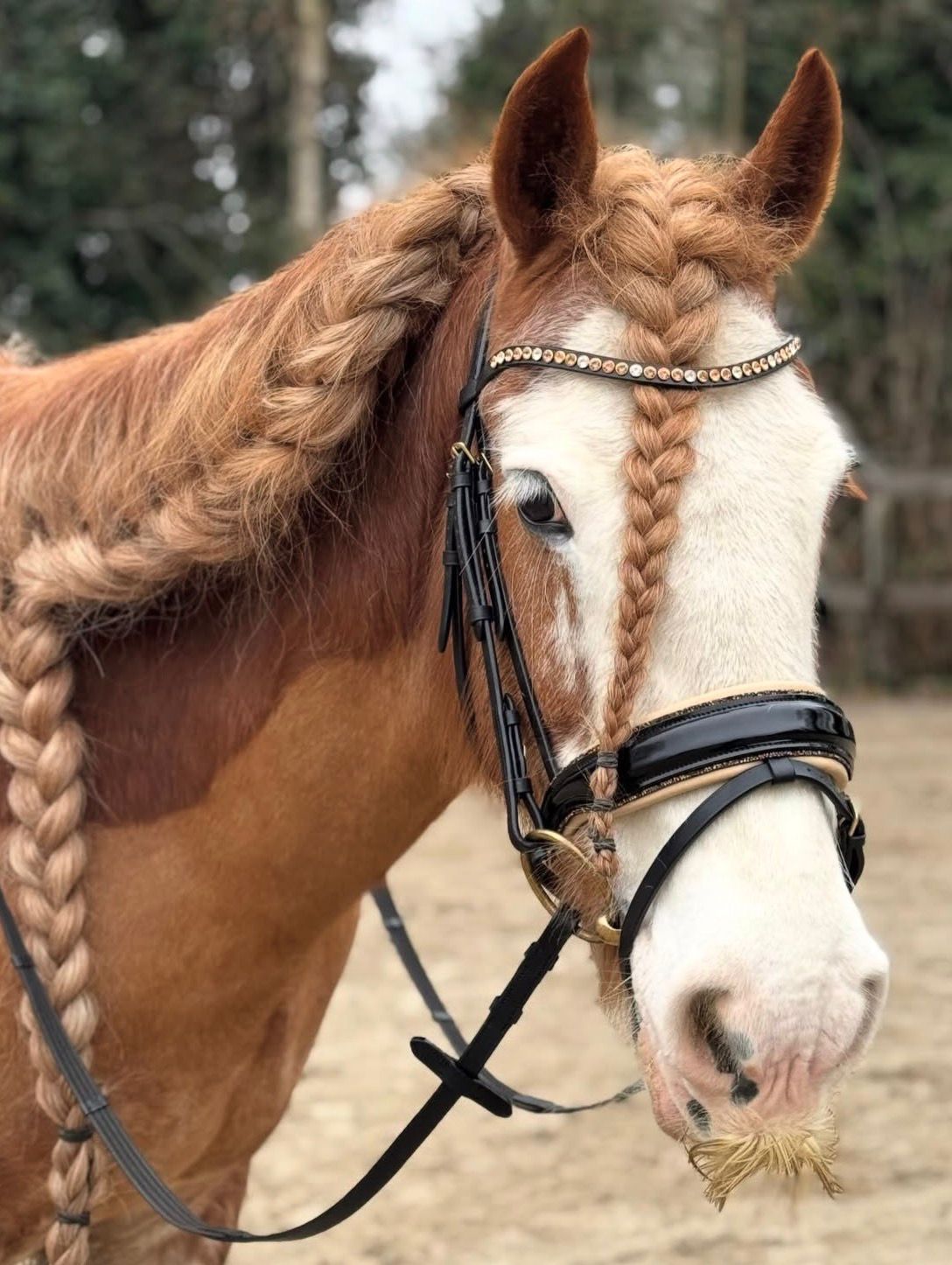Hoofdstel Goud Rocktrim Creme onderlegd, lak
