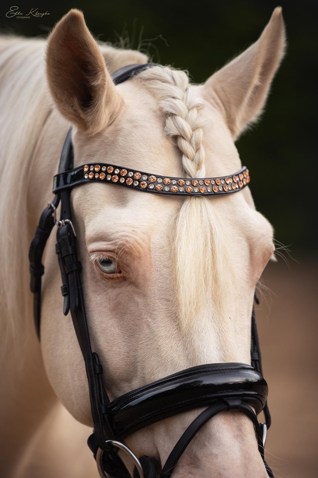 Frontriem model Gold