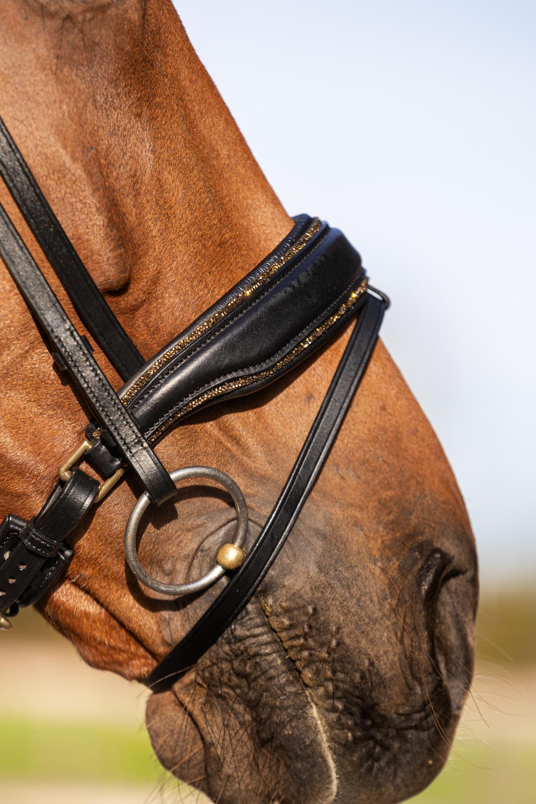 Neusriem Rocktrim Goud Mat leer