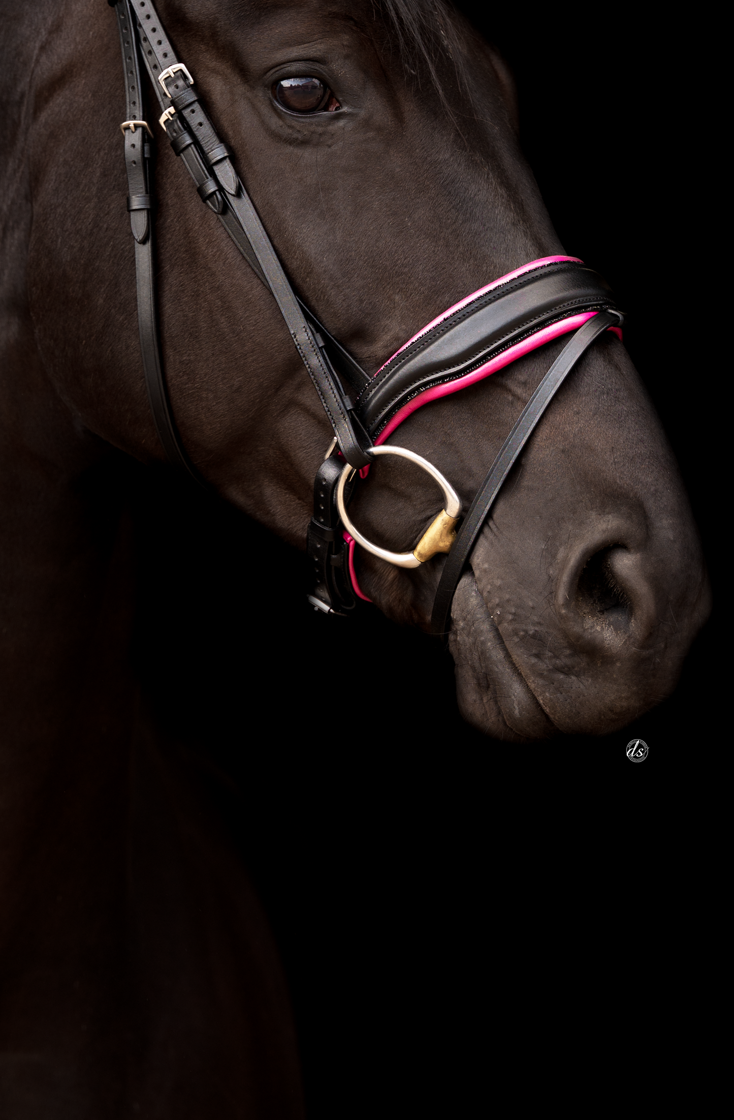 Hoofdstel Zwart Rocktrim Hot Pink onderlegd, mat
